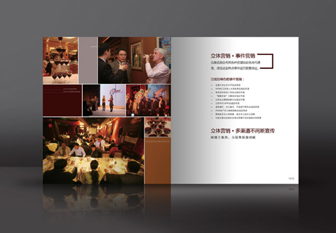 畫冊設(shè)計，標志設(shè)計，VI設(shè)計，交互設(shè)計，包裝設(shè)計，空間導(dǎo)示，數(shù)志視頻，廣告創(chuàng)意設(shè)計，博納設(shè)計