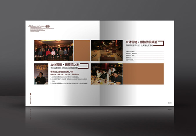 畫冊設(shè)計，標志設(shè)計，VI設(shè)計，交互設(shè)計，包裝設(shè)計，空間導(dǎo)示，數(shù)志視頻，廣告創(chuàng)意設(shè)計，博納設(shè)計